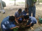 Cleanliness Drive